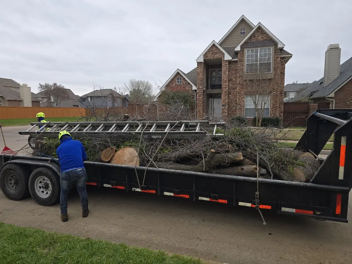 Expert Tree Fertilization with proper safety equipment in Perham